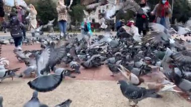 Happy people between of flying pigeons on the Plaza Catalunya in Barcelona.