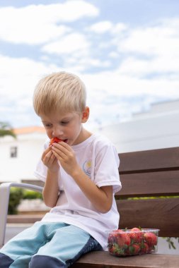 Bankta çilek yiyen küçük sarışın çocuk.. 