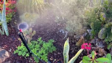 Çim sulama sistemi, çimenleri sulama fıskiyesi..