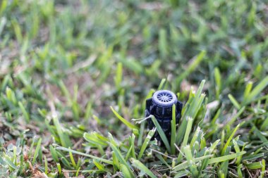 Çimleri sulamak için sulama sistemi. Bulanık. Boşluğu kopyala