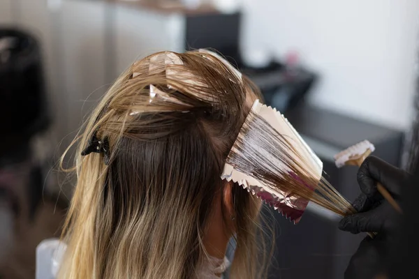 Colorista Che Mette Tintura Capelli Una Ciocca Capelli Con Lamina Fotografia Stock