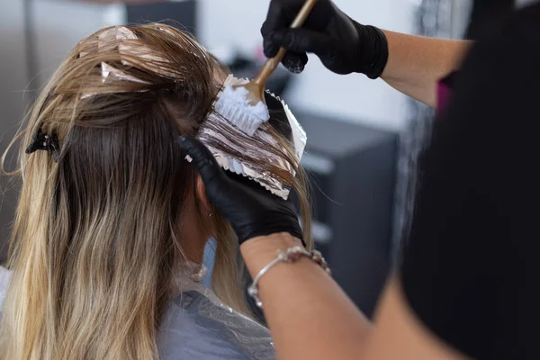 Colorista Che Mette Tintura Capelli Una Ciocca Capelli Con Lamina Immagine Stock