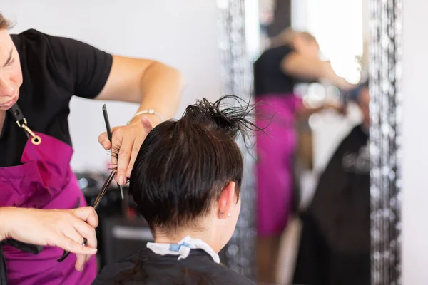 Cabeleireiro Corte Modelagem Cabelo Castanho Por Tesoura Pente Foco Seletivo — Fotografia de Stock