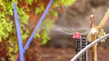 Otomatik fıskiye suyu püskürtüyor. - Yakın çekim. 4k görüntü