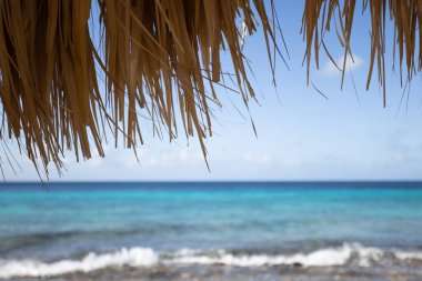 Kuru palmiye yapraklarından yapılmış kumsal şemsiyesinin altından turkuaz renkli denize bakın.