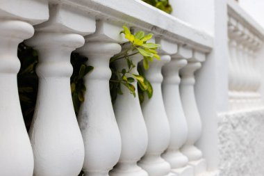 Beyaz taş sütunlar, arkasında bahçe olan çitler.