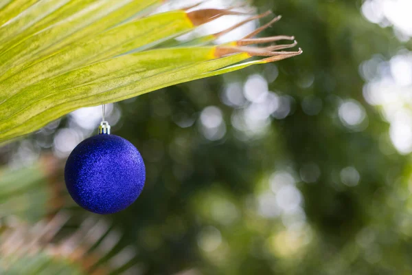 Boule Bleue Noël Sur Une Feuille Palmier Noël Sous Les — Photo