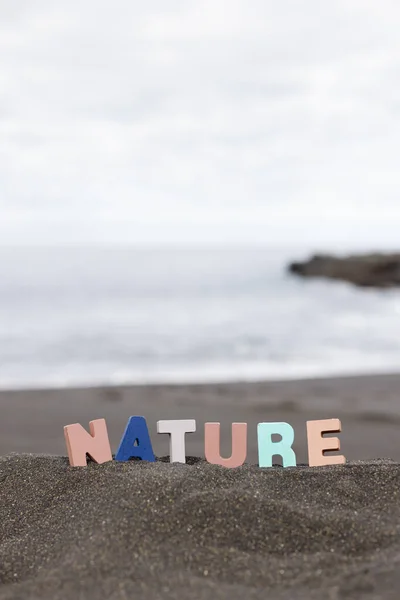 Gros Plan Mot Nature Fait Lettres Bois Colorées Dresse Sur — Photo