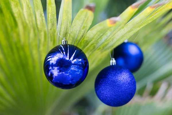 Christmas Blue Balls Palm Leaf Christmas Tropics — Photo