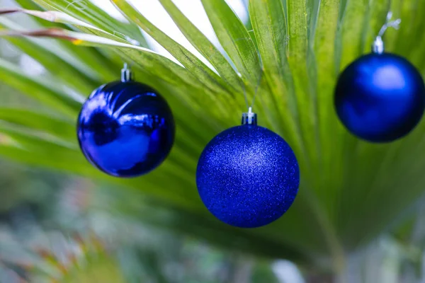 Three Blue Christmas Balls Palm Leaf Closeup Selective Focus — Photo
