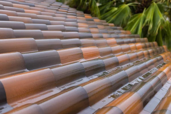 Wet roof tiles after rain with palm trees. Tropical rains.