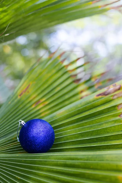 Boule Bleue Noël Entre Les Feuilles Palmier Noël Sous Les — Photo