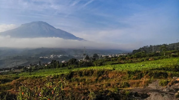 Natural Scenery Slopes Mount Sindoro Central Java Indonesia —  Fotos de Stock