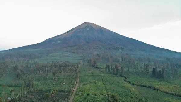Natural Scenery Slopes Mount Sindoro Central Java Indonesia — Stock Photo, Image