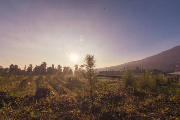Золотий Схід Сонця Чарівному Дивовижному Острові Ява Індонезія — стокове фото