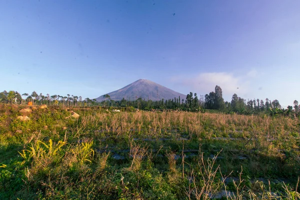 Φυσικό Τοπίο Στις Πλαγιές Του Όρους Sindoro Κεντρική Ιάβα Ινδονησία — Φωτογραφία Αρχείου