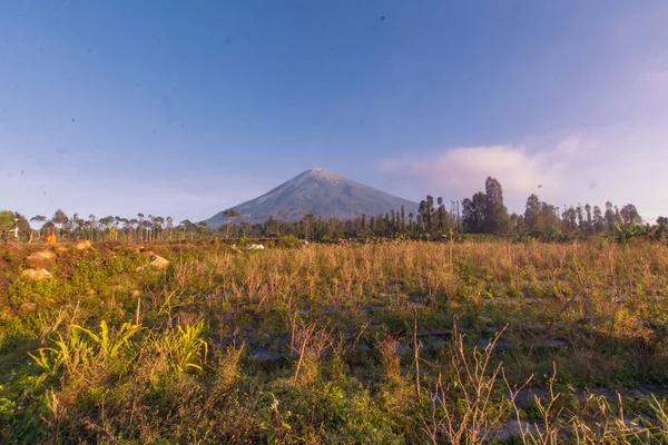 Φυσικό Τοπίο Στις Πλαγιές Του Όρους Sindoro Κεντρική Ιάβα Ινδονησία — Φωτογραφία Αρχείου