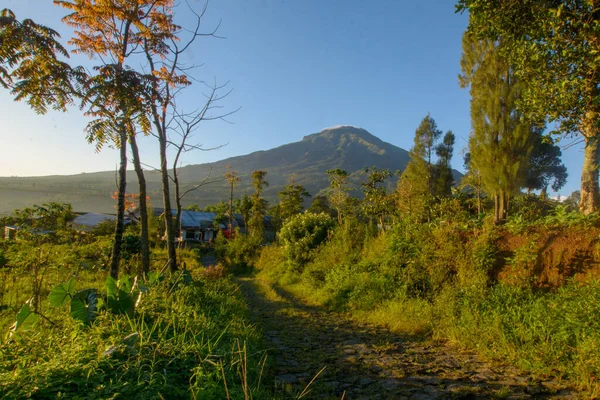 Natural Scenery Slopes Mount Sindoro Central Java Indonesia —  Fotos de Stock