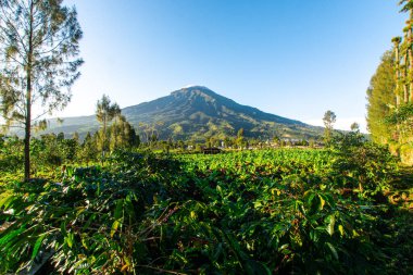 Dağ manzarası çok güzel.