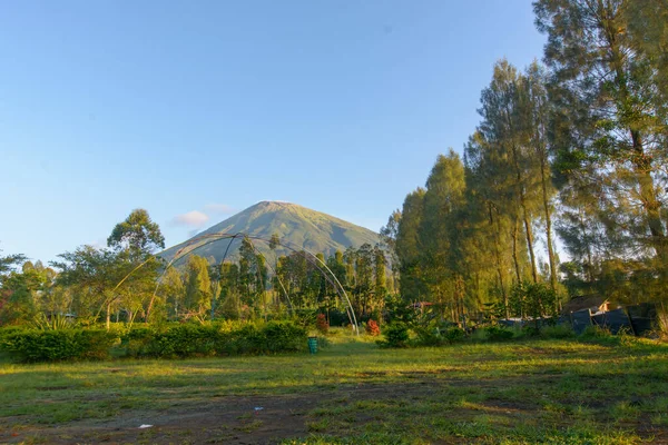 Natural Scenery Slopes Mount Sindoro Central Java Indonesia — 图库照片