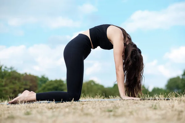 Una Joven Caucásica Está Haciendo Yoga Naturaleza Concepto Vida Saludable — Foto de Stock