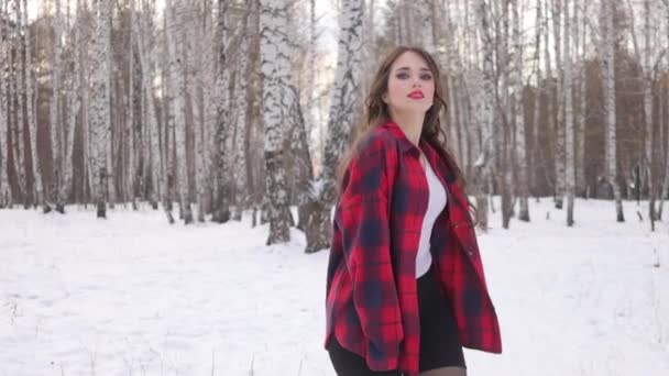 Vrouw in geruit shirt wandelen in besneeuwd park — Stockvideo