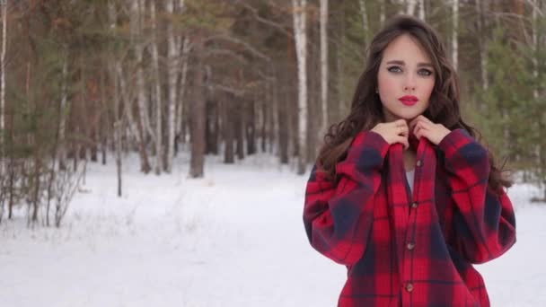 겨울 숲에 서서 얼굴에 손을 대고 있는 젖많은 머리카락을 가진 젊은 여자 — 비디오