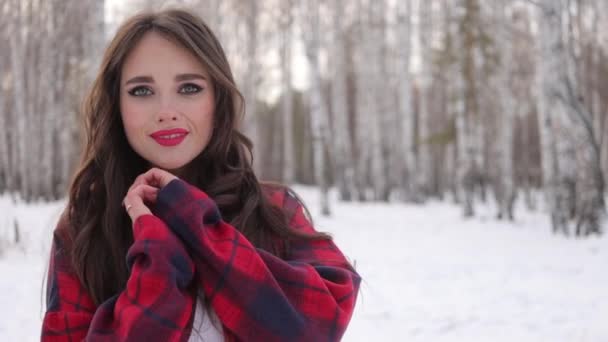 겨울 숲에 서서 얼굴에 손을 대고 있는 젖많은 머리카락을 가진 젊은 여자 — 비디오