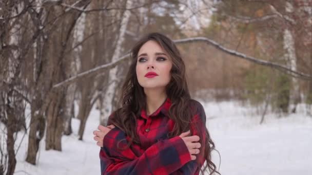 Mulher encantadora com cabelos longos andando na floresta nevada — Vídeo de Stock