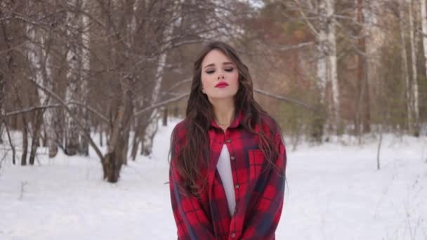 Charmante Frau mit langen Haaren spaziert im verschneiten Wald — Stockvideo