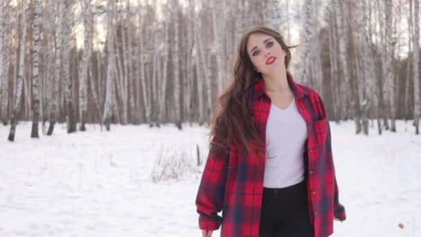 Karlı parkta karlı gömlekli bir kadın yürüyor. — Stok video
