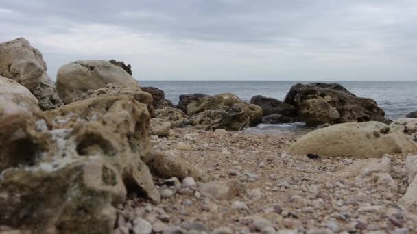 Wet stony coast washed by rippling sea — 비디오