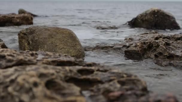 Wet stony coast washed by rippling sea — Vídeo de Stock