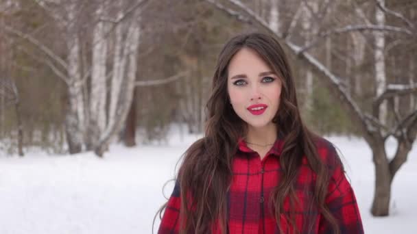 Очаровательная женщина с длинными волосами, гуляющая в снежном лесу — стоковое видео