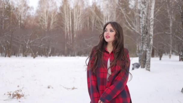 Charmante femelle aux cheveux longs marchant dans la forêt enneigée — Video