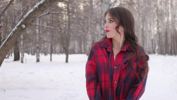 Charmant vrouwtje met lang haar wandelen in besneeuwd bos — Stockvideo