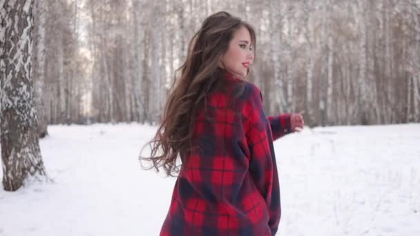 Vrouw in geruit shirt wandelen in besneeuwd park — Stockvideo