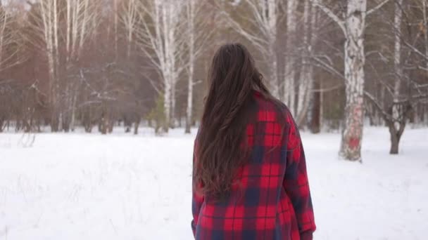 Kobieta w szachownicy spaceruje w zaśnieżonym parku — Wideo stockowe