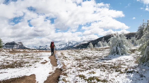 Hiker walking on a snowy trail, Mt Assiniboine Provincial Park, Canada — Stockfoto