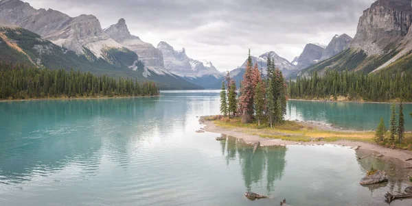 Turkuaz alp gölünün ortasındaki ağaçlar adası dağlar, pano, Jasper NP, Kanada.