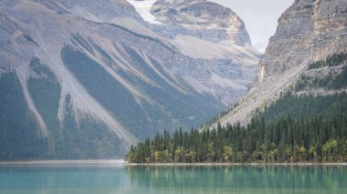 Beautiful turquoise alpine lake surrounded by the mountains, detail shot, Mount Robson PP, Canada.