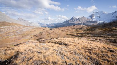 Etrafında sonbahar renkleri ve dağlarıyla dağ vadisinde göz kamaştırıcı manzara, Jasper N.Park, Kanada.