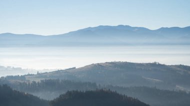 Arka planda sisli ormanlar ve sisli dağlarla sonbahar manzarası, Slovakya, Avrupa.