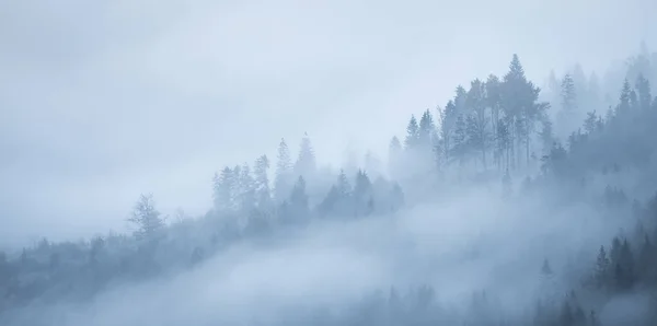 Autumnal Moody Landscape Thick Fog Moving Woodland Slovakia Europe — Stockfoto