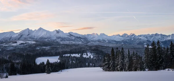 Beautiful Winter Landscape Snowy Mountains Forest Sunrise Europe Slovakia — ストック写真