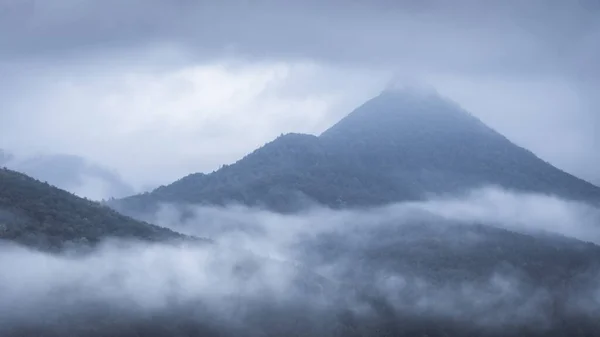 Prominent Mountain Covered Forest Shrouded Thick Fog Moody Autumn Morning — Fotografia de Stock