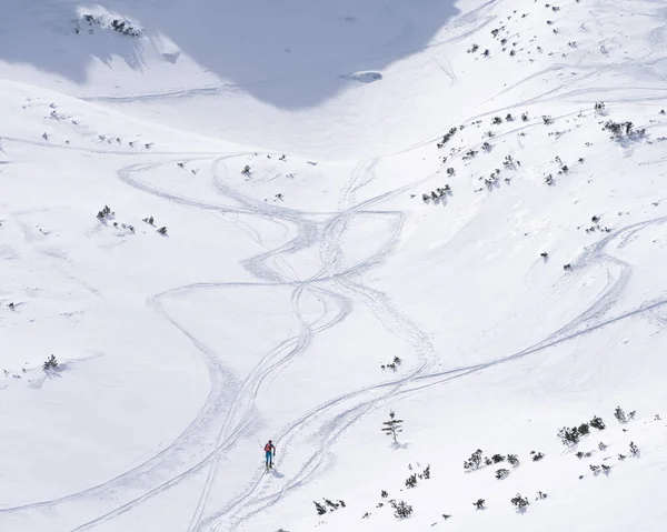 Alpinista Esqui Vagando Pelo Vale Alpino Cheio Neve Eslováquia Europa — Fotografia de Stock