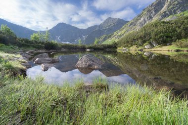 Alp zirveleri yeşil yapraklar, Slovakya ve Avrupa ile birlikte küçük ve durgun tarlaya yansıyor.