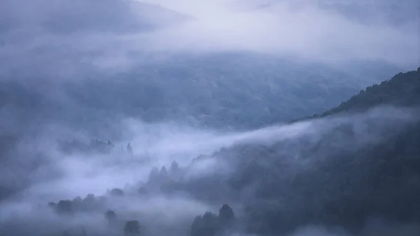 Dense Forest Shrouded Thick Fog Slovakia Europe — 图库照片