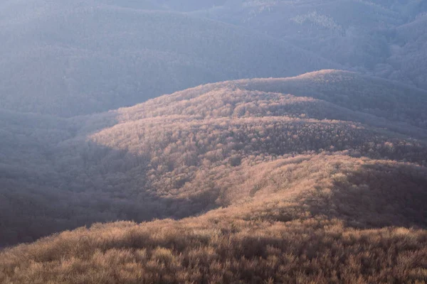 Gündoğumunda ilk ışığa yakalanan sonbahar renkli orman, Avrupa ve Slovakya.